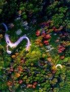 立即派出特勤中队专业救援队赶